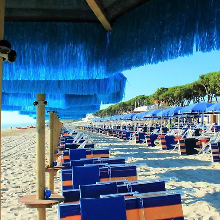 Ficus Rosa - Apartment