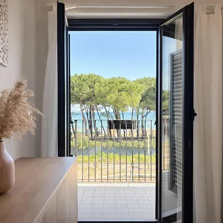 Apartment Ficus Rosa - *