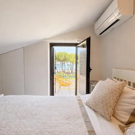 Apartment Ficus Rosa - Pineto