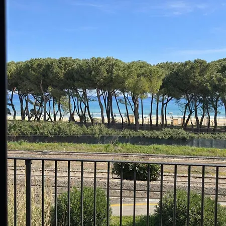 Ficus Rosa -