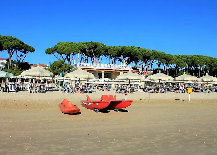 Ficus Rosa - Apartment *