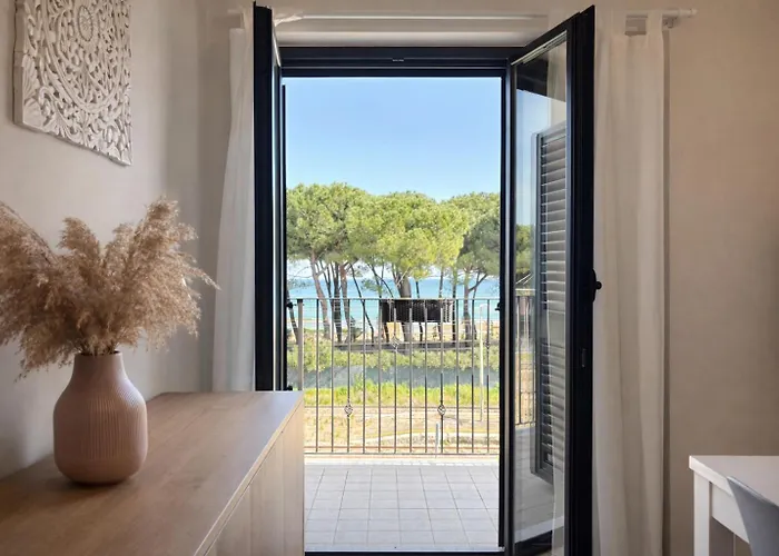 Apartment Ficus Rosa - *